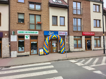 Brama z balonów w Trzebnicy wyróżnia się na tle elewacji budynku.