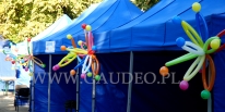 Balonowa dekoracja balonów na pikniku firmowym.