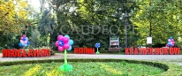 Balony z helem w parku.
