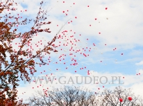 Balony z helem odlatują nad miastem.