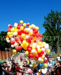 Balony z helem wylatują z siatki.