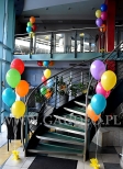 balony helowe, balony z helem, balony na hel, dzień dziecka, dekoracja cukierni