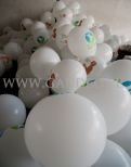 Balony reklamowe na patyczkach.