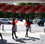 Balony na patyczkach czekają na klientów.