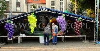 Dekoracja sceny balonowymi kiśćmi winogron.