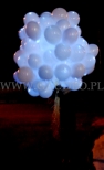 Świecące balony z helem czekają na wypuszczenie.