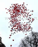 Wypuszczone balony helowe odlatują do nieba.