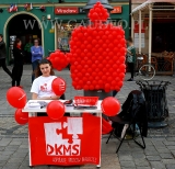 Puzzel wykonany z balonów podczas plenerowej akcji Fundacji DKMS.