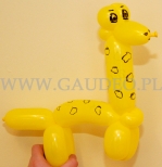 Żyrafa skręcona z balonów.
