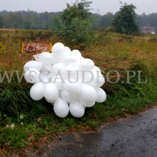 Balony helowe pomoczone przez deszcz.