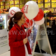 Balony z nadrukiem rozdawane przez hostessę w Świdnicy.