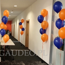 Balony helowe ułożone w stroiki.