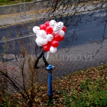 Balony helowe odebrane w naszej siedzibie.