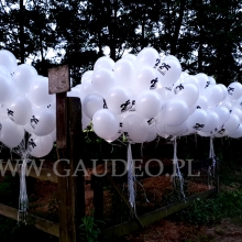 Balony z nadrukiem i diodami led.