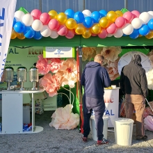 Brama balonowa na evencie na Pergoli we Wrocławiu.