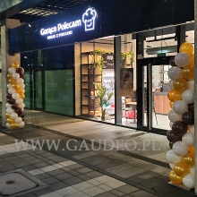 Kolumny balonowe we Wrocławiu.