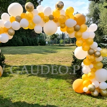 Organiczny łuk balonowy.
