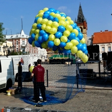 W czasie przygotowań do wypuszczenia - pompowanie  1000 balonów helem.